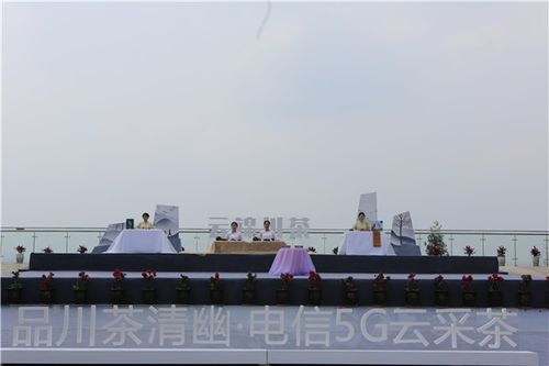 四川雅安加快5G新技術(shù)轉(zhuǎn)型升級(jí)，助力四川數(shù)字經(jīng)濟(jì)發(fā)展